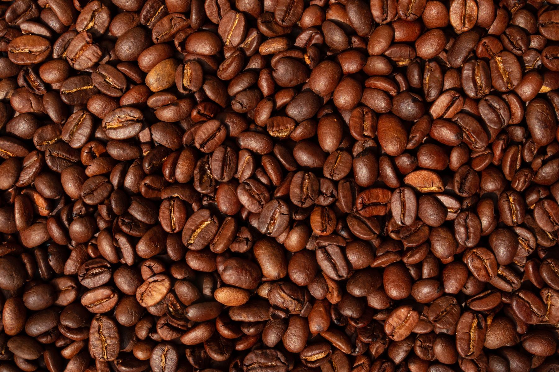 Granos de café tostado